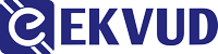 EKVUD, Ukrainian IT system integrator
